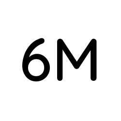 6M